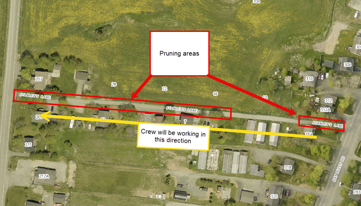 map of Stanley's Lane area where tree pruning is taking place. 